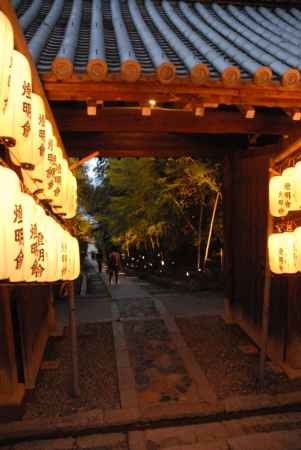 燈明会・夜間特別拝観