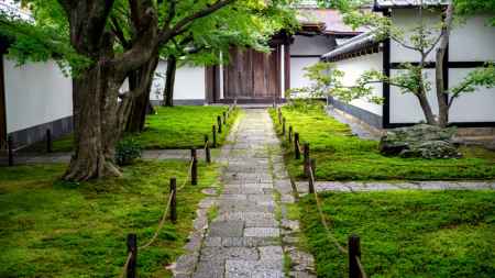 大徳寺塔頭 黄梅院秋季特別公開