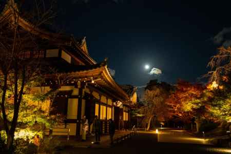 将軍塚青龍殿 秋の夜間拝観(中止）