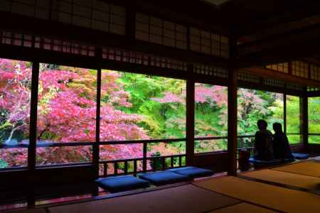 瑠璃光院　秋の特別拝観