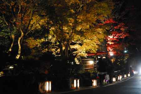 貴船もみじ灯篭