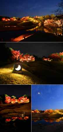 梅小路公園 紅葉まつり