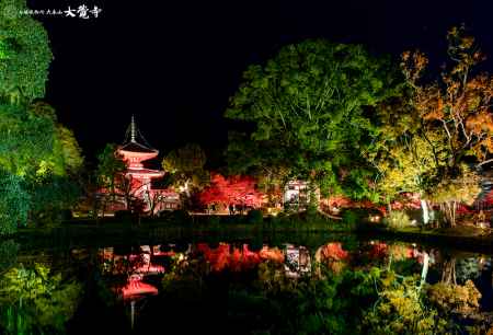 大覚寺大沢池ライトアップ「真紅の水鏡」（中止）