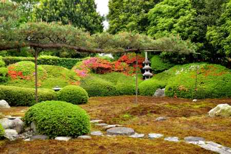 一華院　秋の特別拝観
