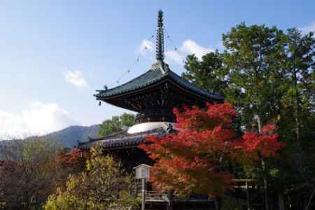 夕霧祭（中止）