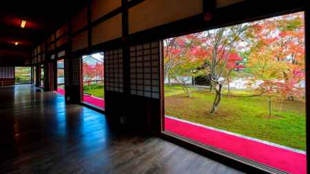 妙覚寺庭園 特別拝観