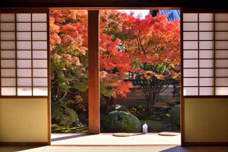 妙顕寺 夜間特別拝観