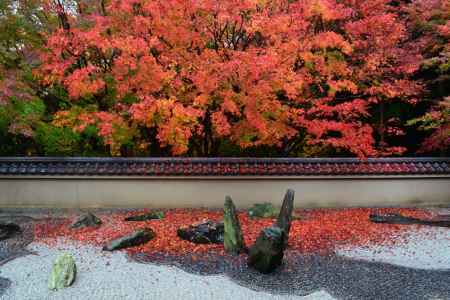 国宝龍吟庵特別公開