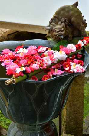 春季伽藍内の特別公開