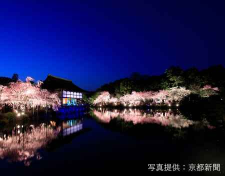 平安神宮 紅しだれコンサート2021（中止）