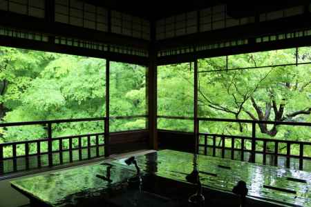 瑠璃光院　春の特別拝観