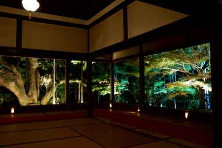 春の夜灯り2022（中止）