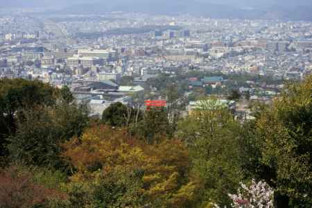 将軍塚青龍殿 ライトアップ