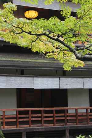 「葵祭にあわせて参観を楽しむ」旧九條家遺構　拾翠亭特別公開