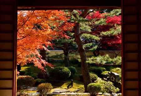 鹿王院 夜間特別拝観
