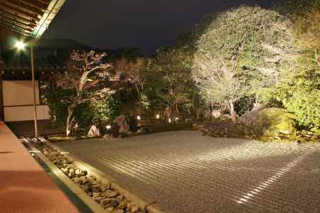 圓徳院 春の特別展とライトアップ