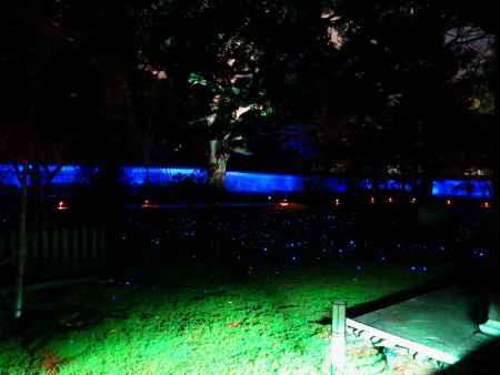 青蓮院　夜間の特別拝観