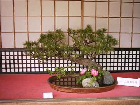 華道祭（開催中止）