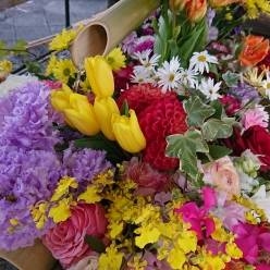 達人トッキーの京都街歩き