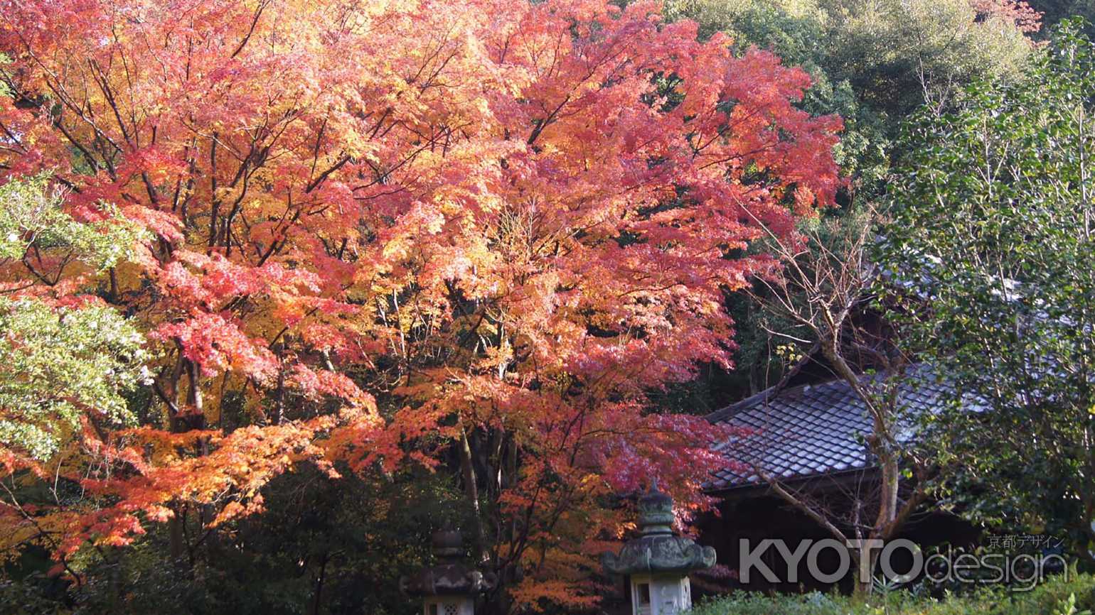 来迎院（大原）