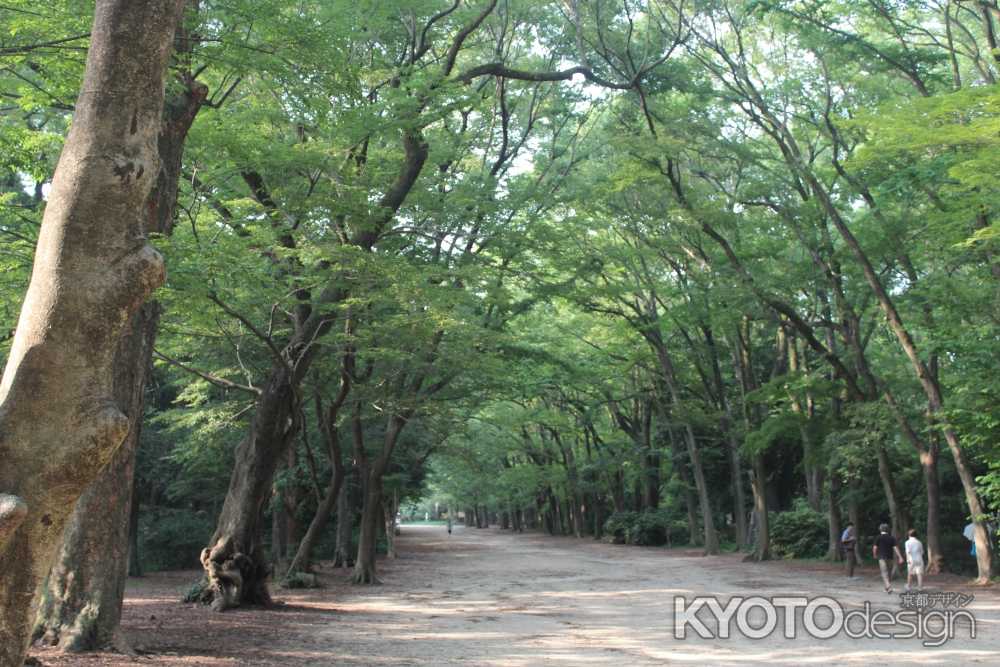下鴨神社