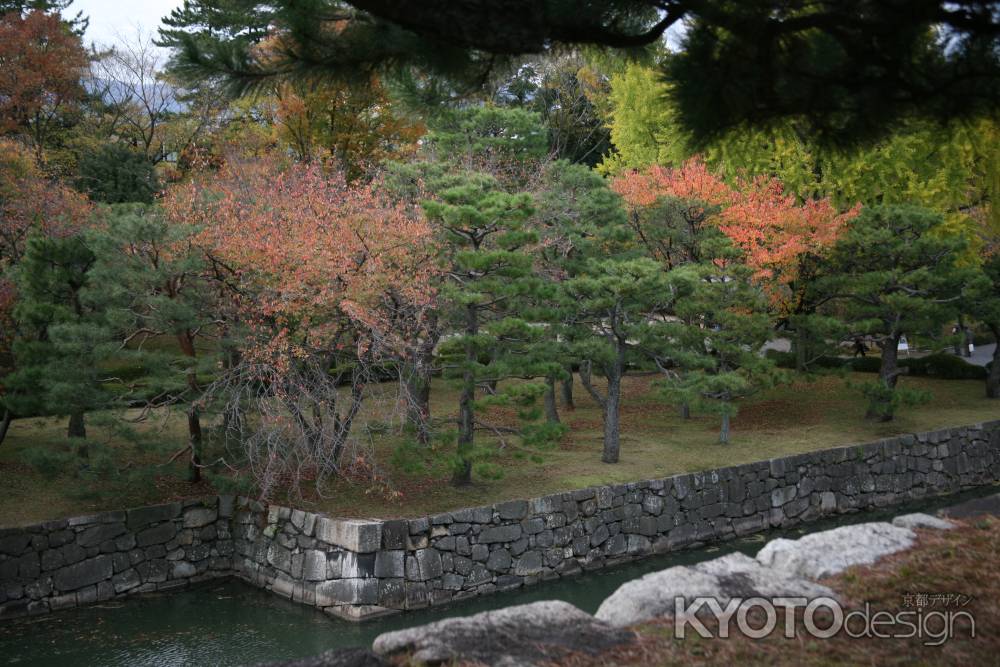 二条城の内堀の少し色づいた木々