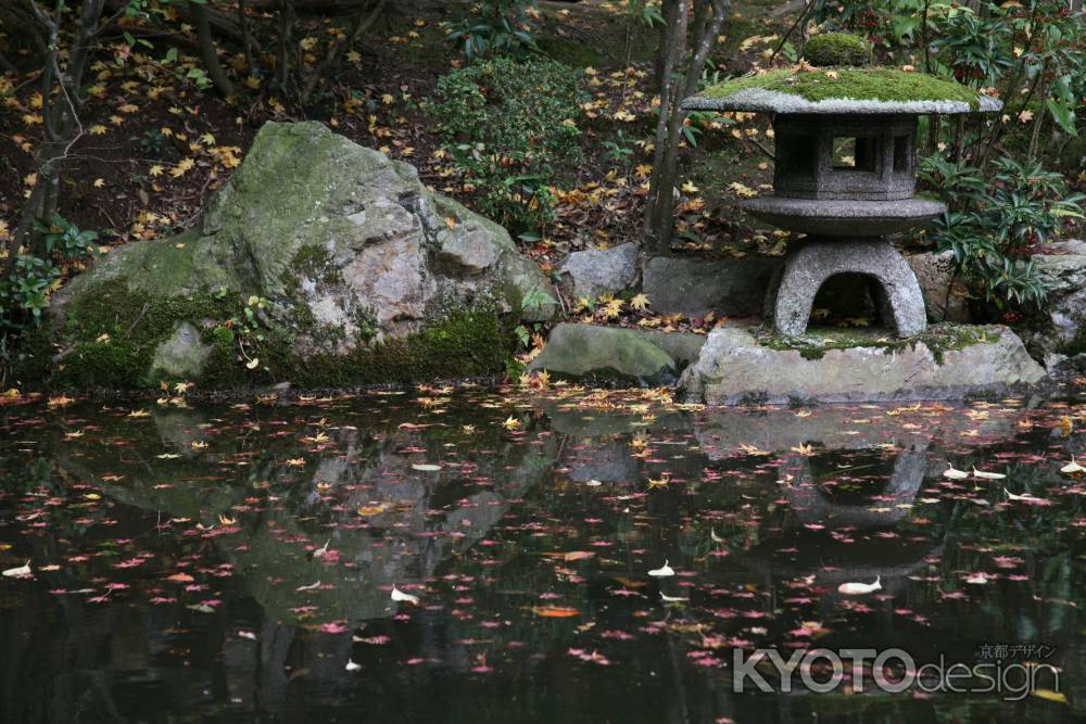 水面に浮かぶ紅葉