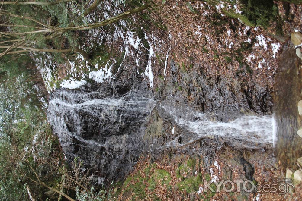 力強さより美しさ