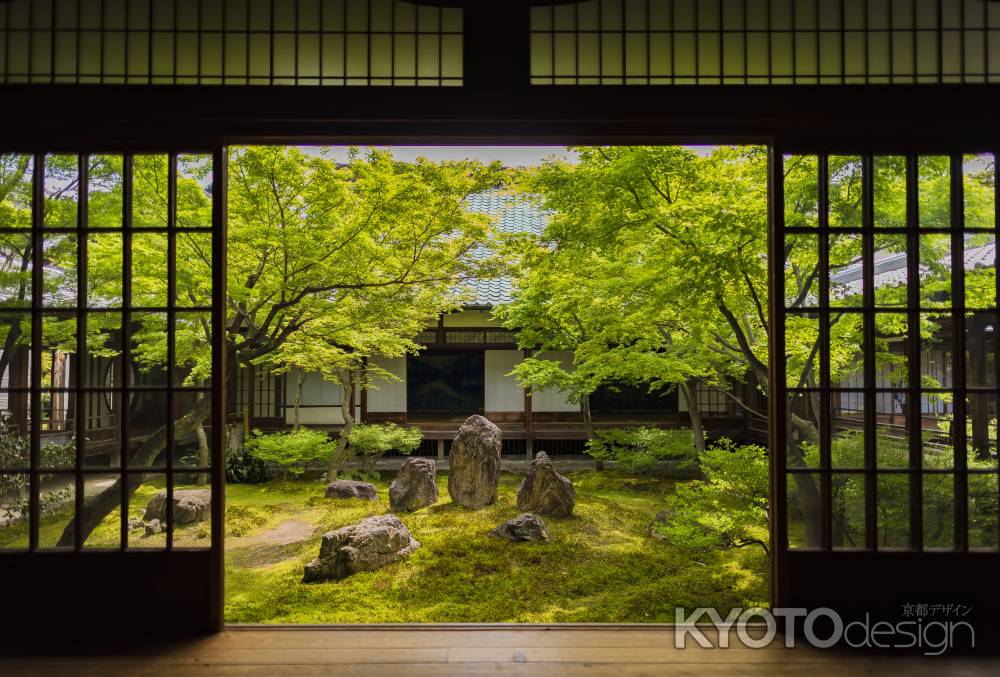 新緑の建仁寺・潮音庭