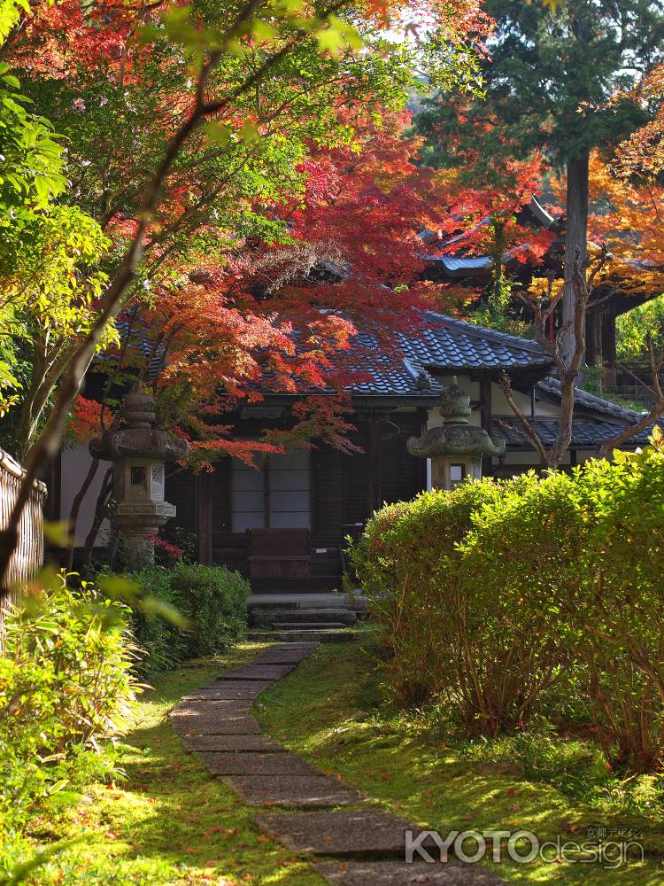 来迎院（泉涌寺塔頭）の紅葉