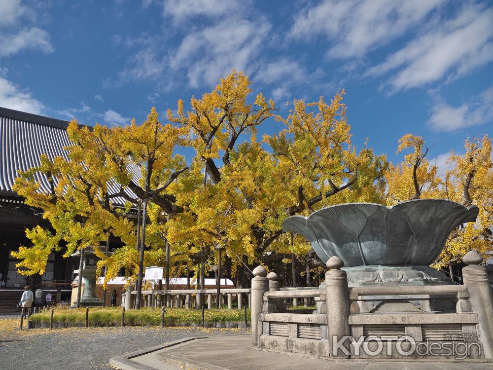 西本願寺の逆さ銀杏2