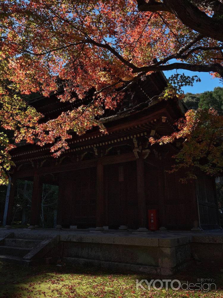 一休寺開山堂と紅葉