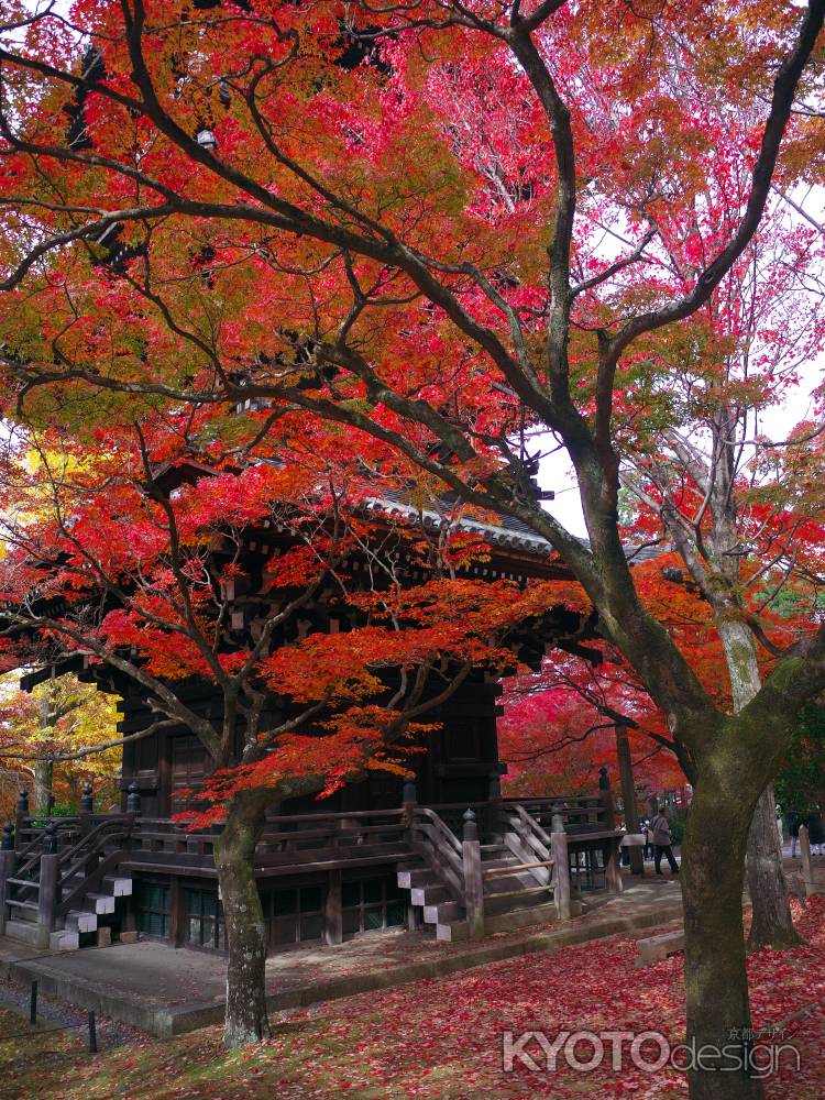真如堂の三重塔と紅葉