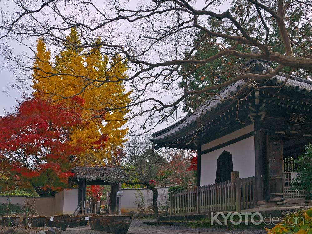 西雲院の銀杏と紅葉