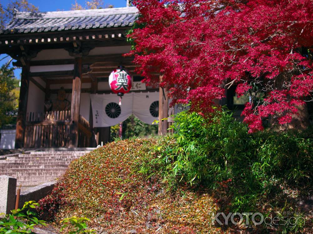 宝積寺仁王門と紅葉