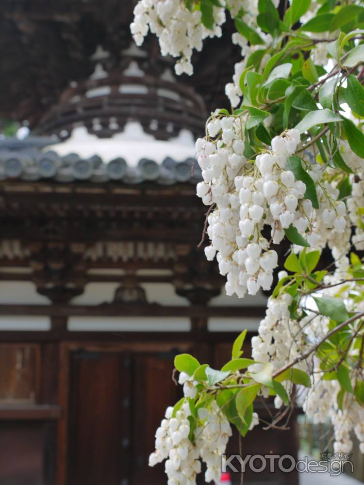 宝塔寺多宝塔と馬酔木