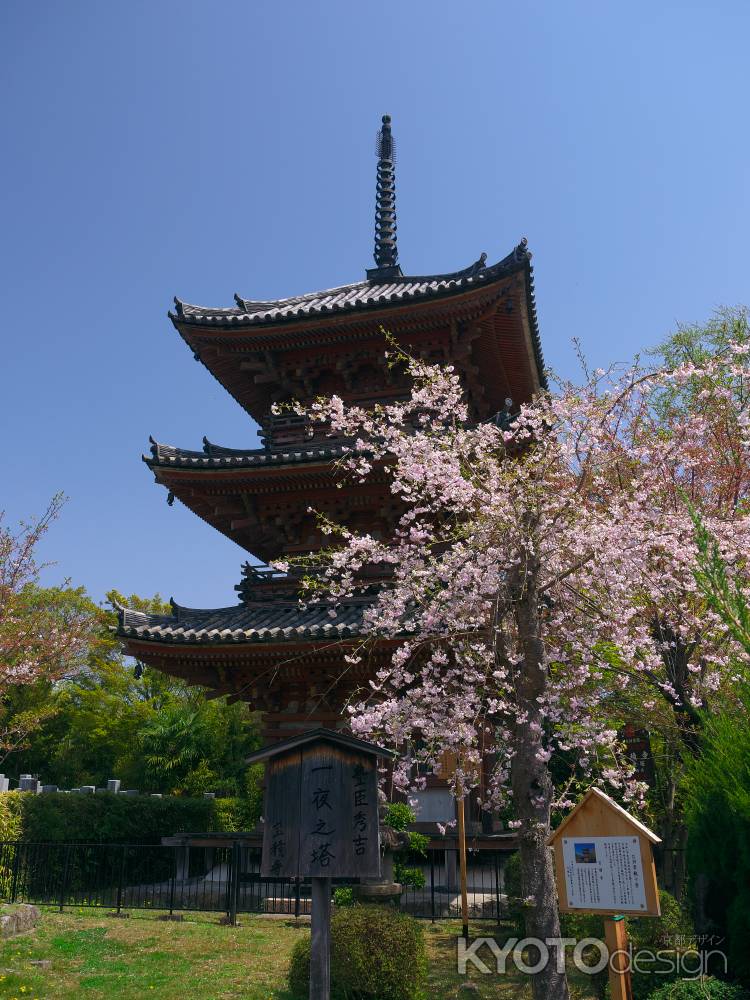 宝積寺三重塔と枝垂れ桜