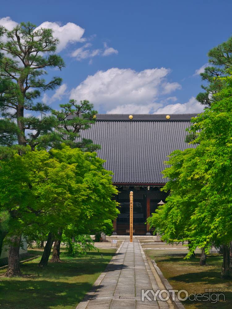 妙顕寺本堂と青紅葉