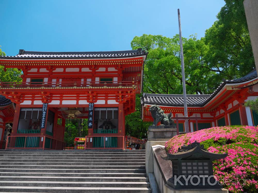 八坂神社西楼門のサツキ