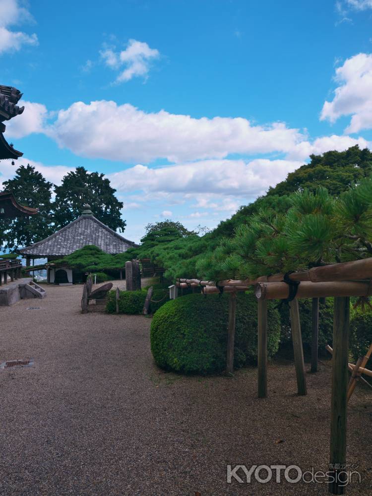 善峯寺の遊龍の松