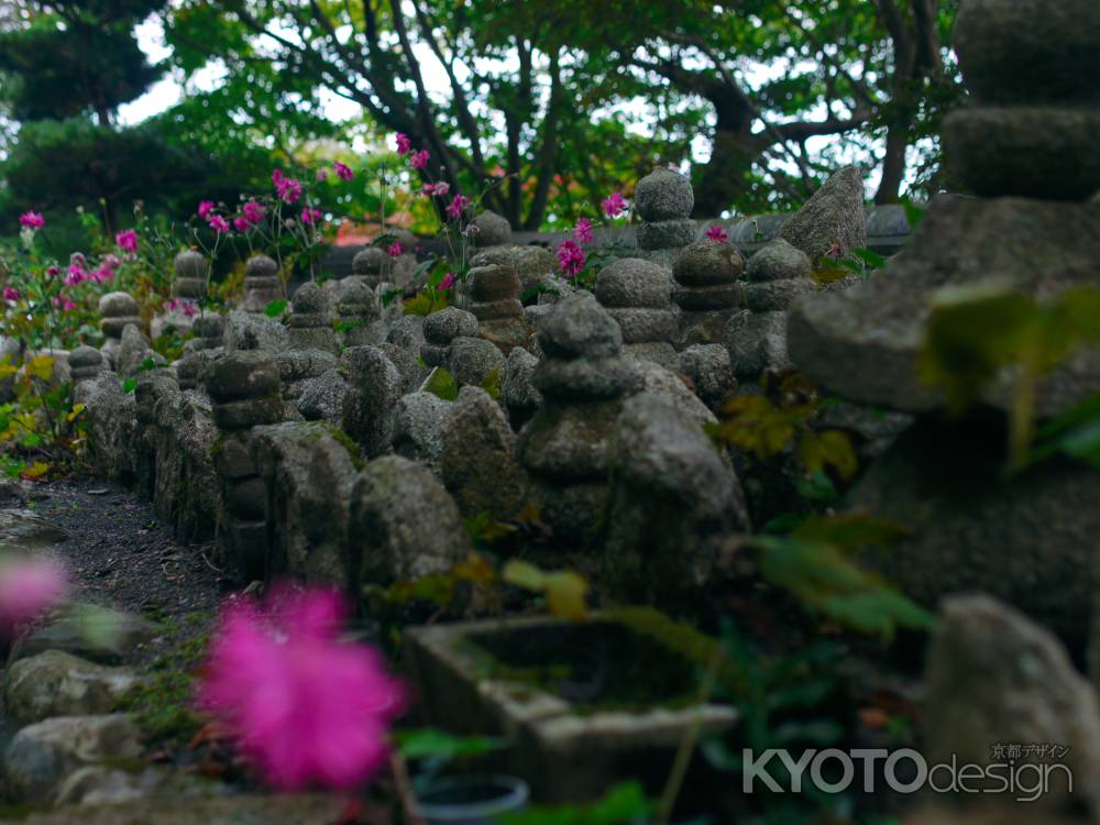 宝篋印塔の周りの石仏と秋明菊