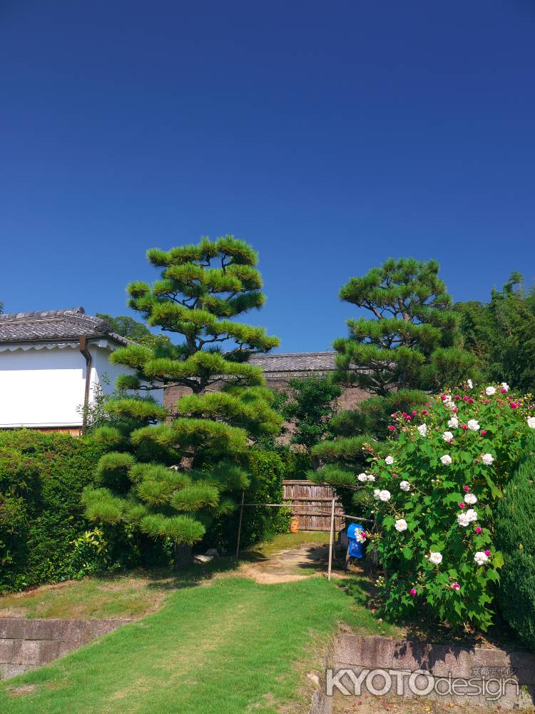 伊佐家住宅のフヨウ