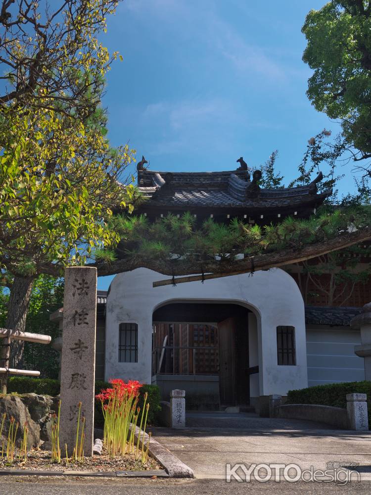 法住寺の彼岸花