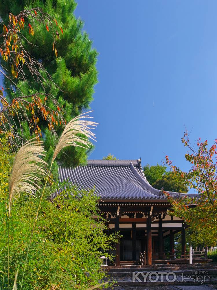 宝塔寺本堂とススキ