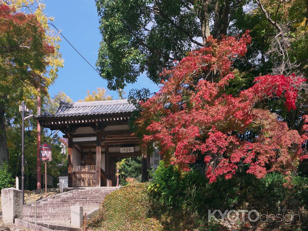 宝積寺仁王門と紅葉