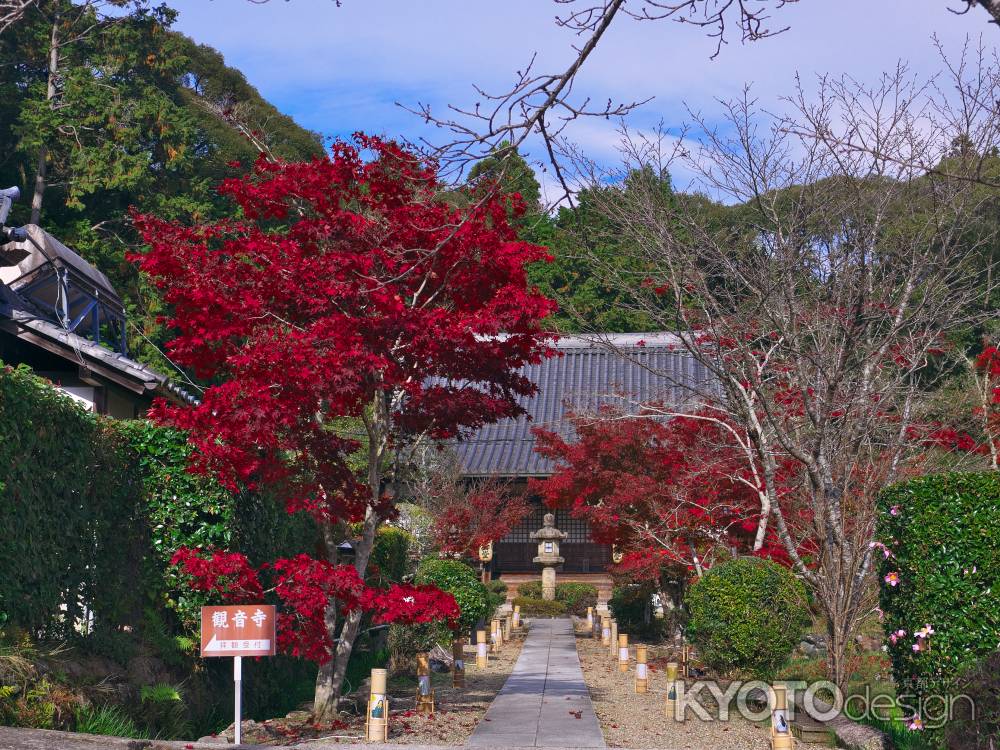 大御堂観音寺の紅葉