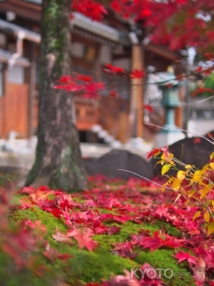 井手町西福寺の紅葉