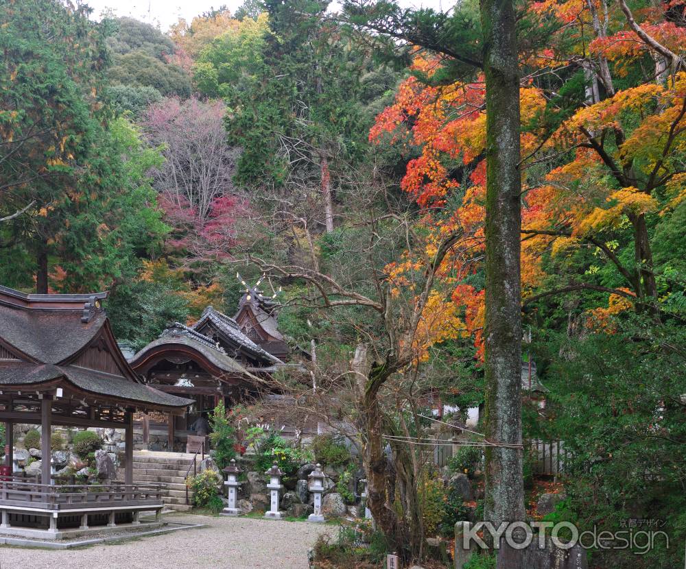 玉津岡神社の紅葉1