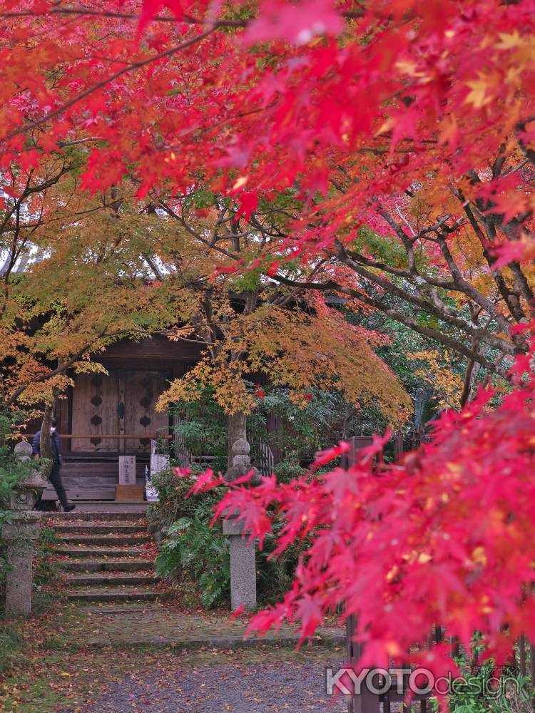 善法律寺の紅葉2
