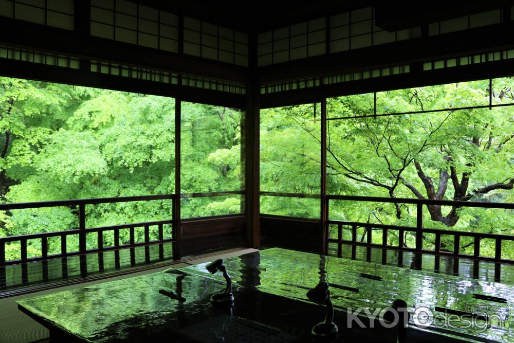 瑠璃光院の新緑